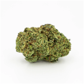 American Blueberry CBD